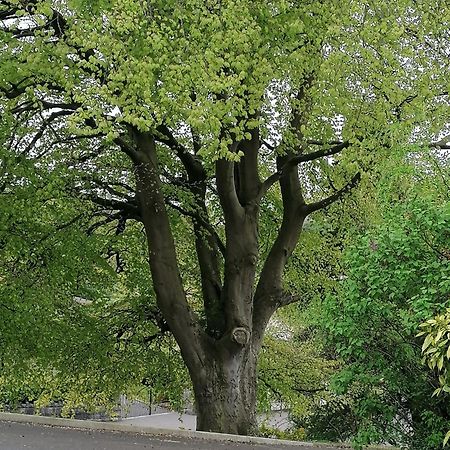 The Beeches Newry Exterior foto