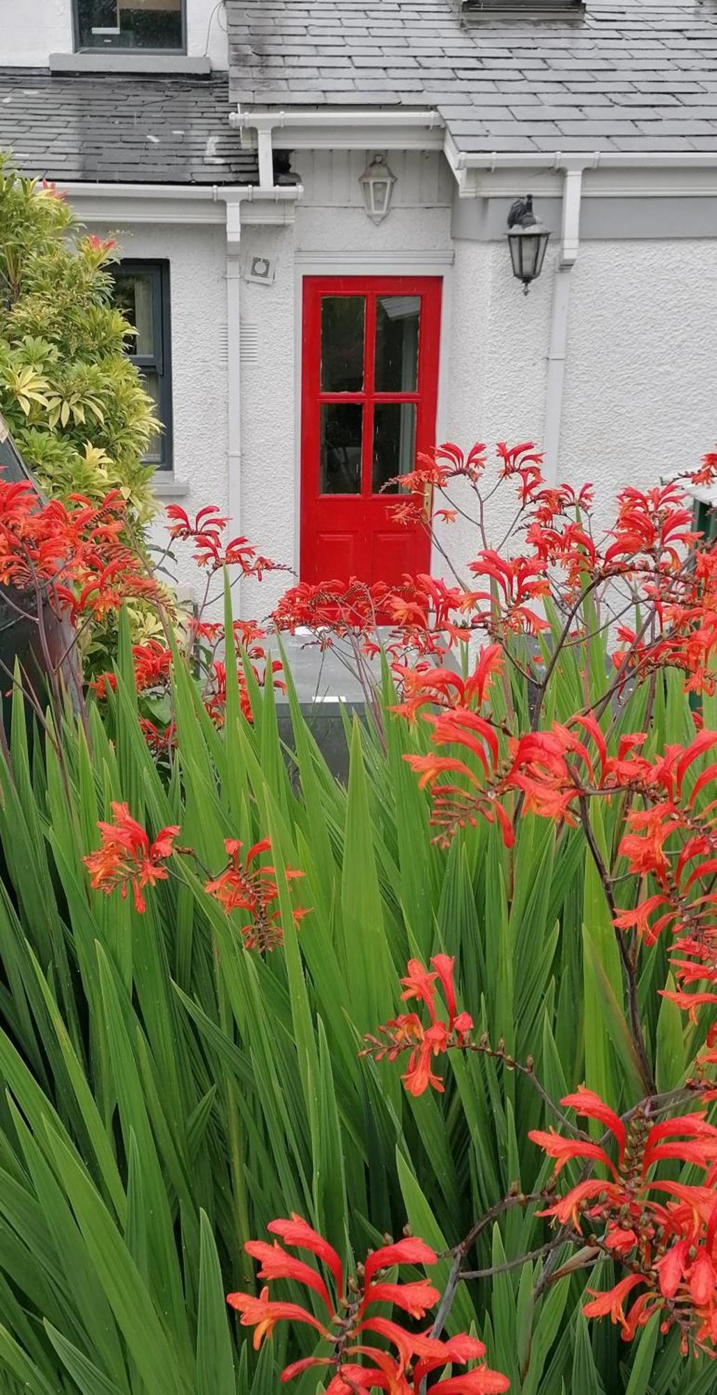 The Beeches Newry Exterior foto
